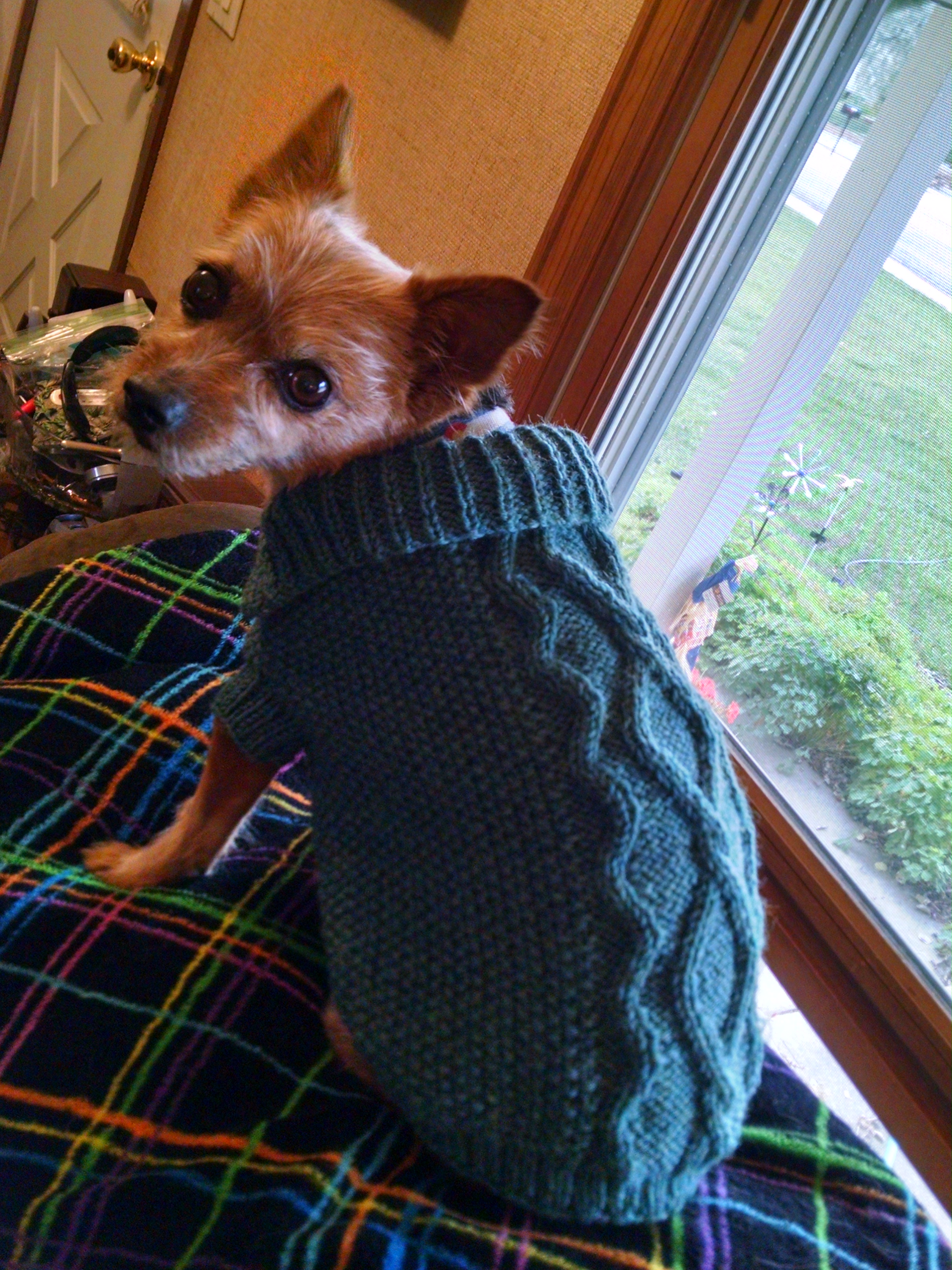 Maggie's new jacket