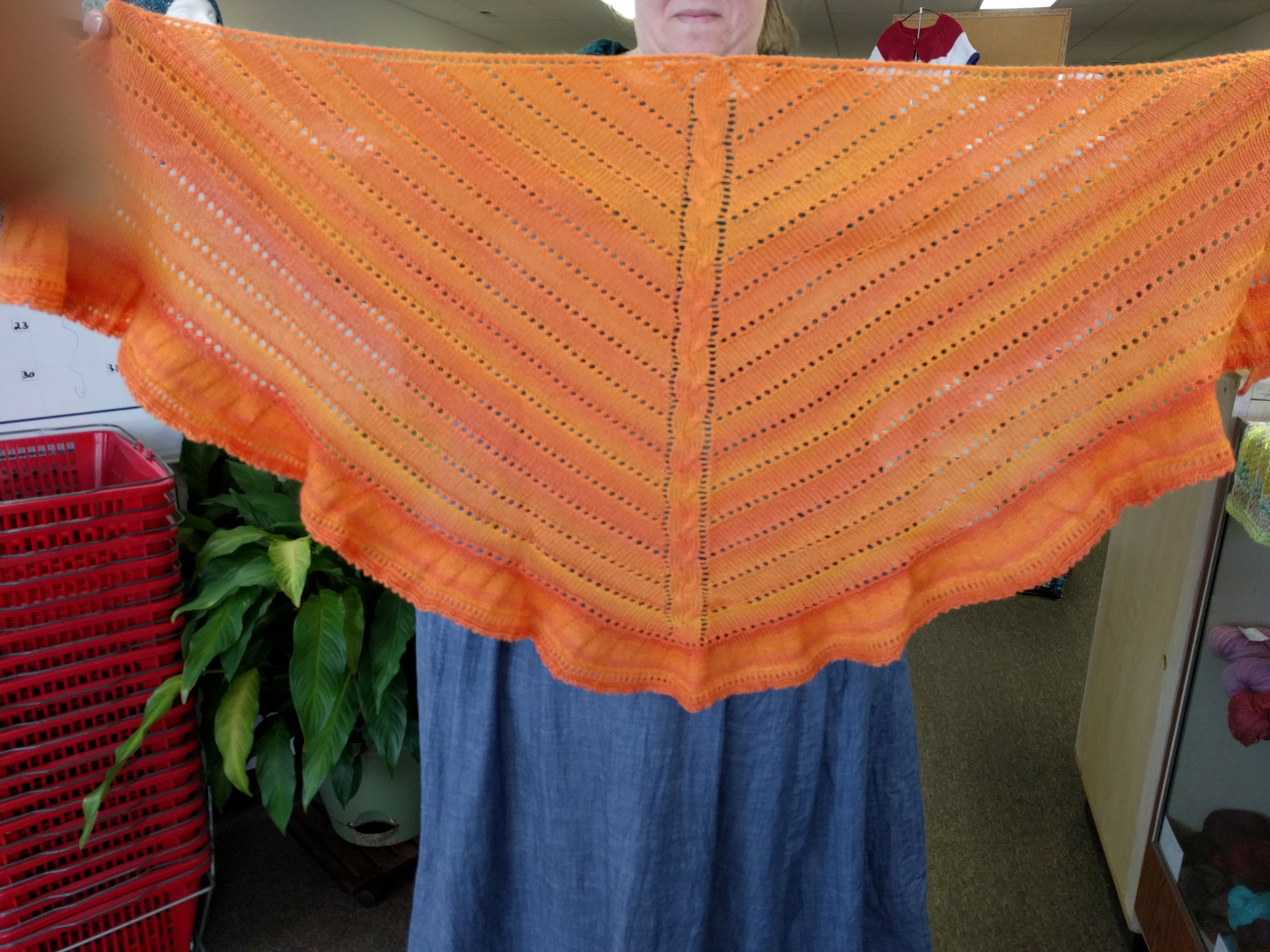 Lyn's Charming(yarn name) Shawl