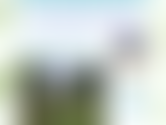 March 2026 Garden Gazette Newsletter