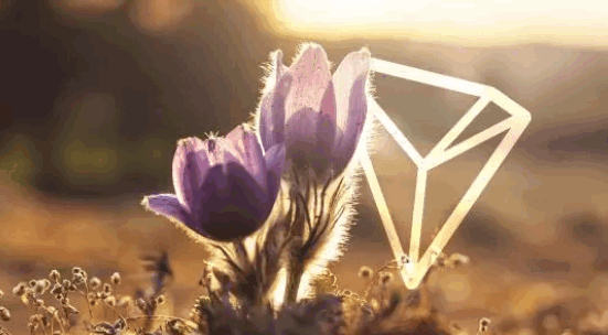 Fundador da TRON está planejando um lançamento aéreo de US $ 20 milhões e um Tesla.