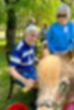 a senior therapy sensory session with an older man, horse and equine therapist