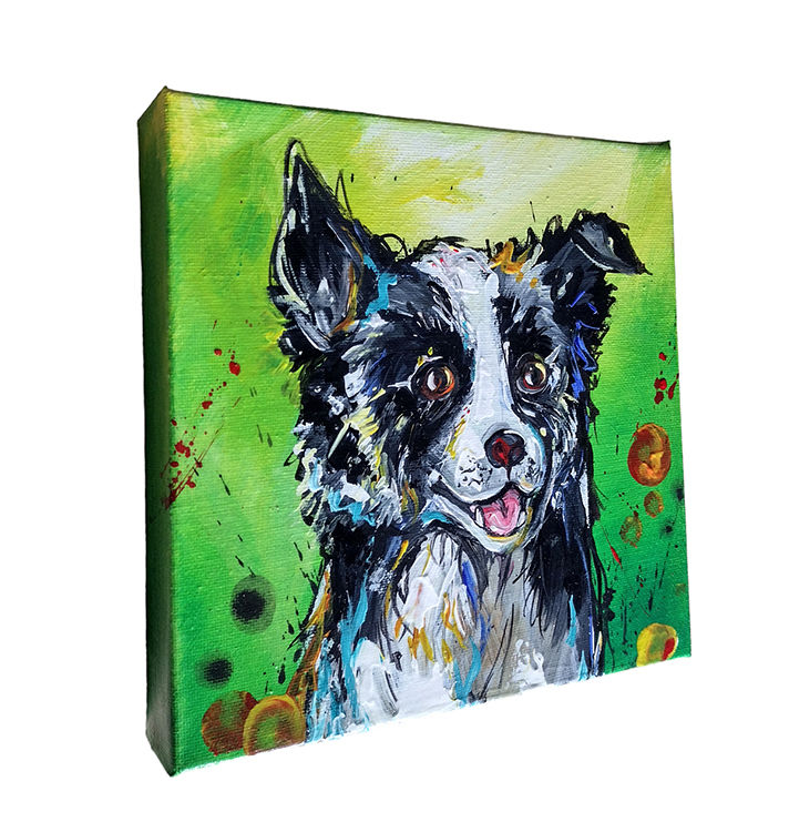 Thumbnail: Collie Canvas