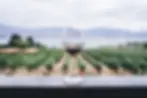 Private-driver-croatia.jpeg