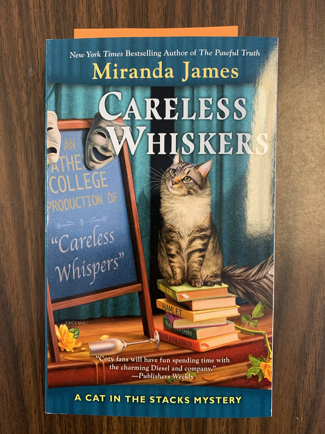 Careless Whiskers - Cat in the Stacks #12