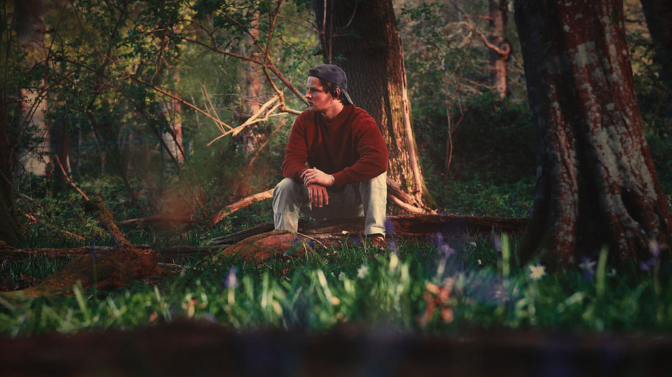 Phil's Film PowerGrade (Davinci)