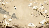 background-co-trang (16).jpg