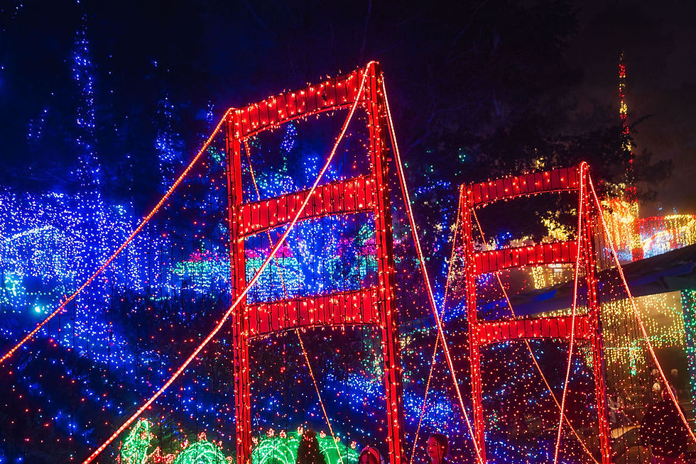 Cambria-Christmas-201548-05250.jpg