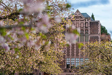 uw quad 3.jpg