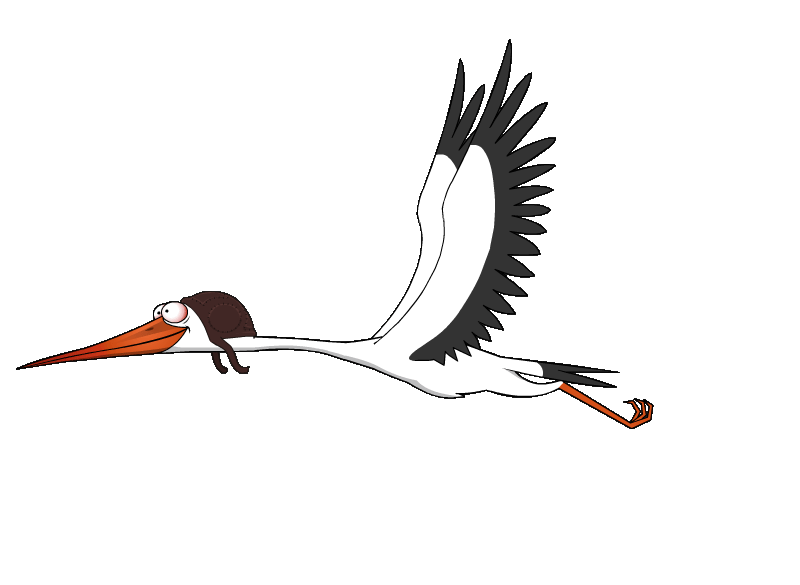 bird-flying4.gif