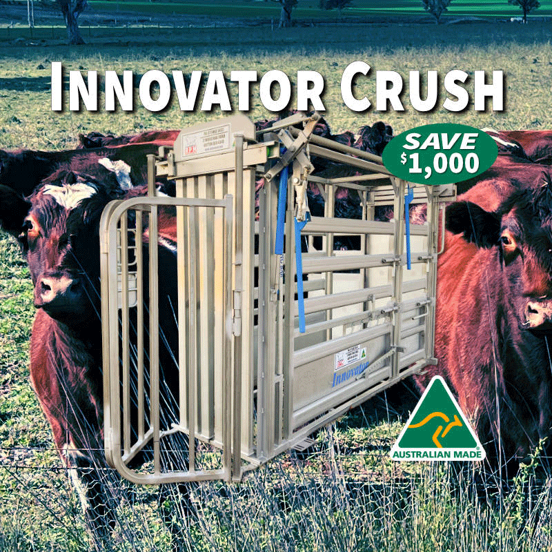 Innovator_Cattle_Crush_On-Sale-v6.gif