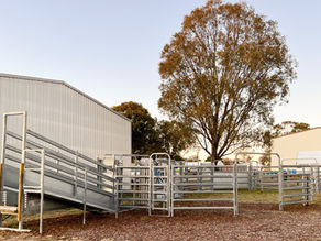 How Adjustable Loading Ramps Improve Safety During Sale Season?