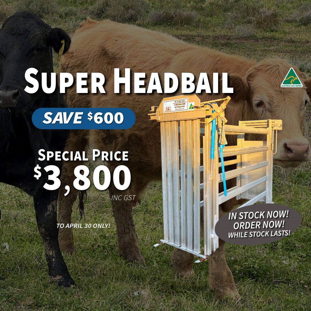 Superlock-headbail-LIMITED-TIME-V5.gif