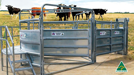 RPM Save on Safe T Force 260217.jpg