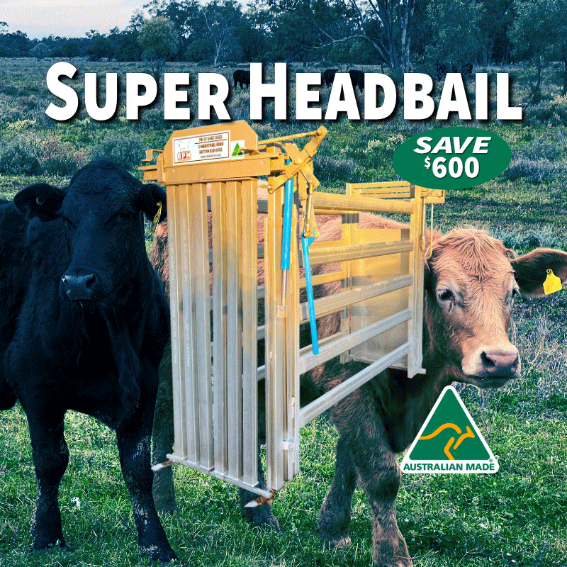 Superlock-headbail-V7.gif