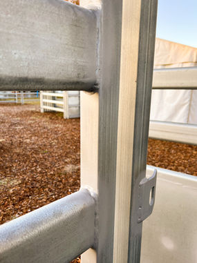 RPM_Livestock_Innovator_Cattle_Crush