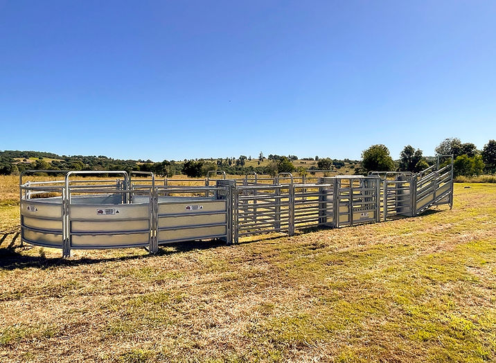 RPM_Livestock_Cattle_Yards