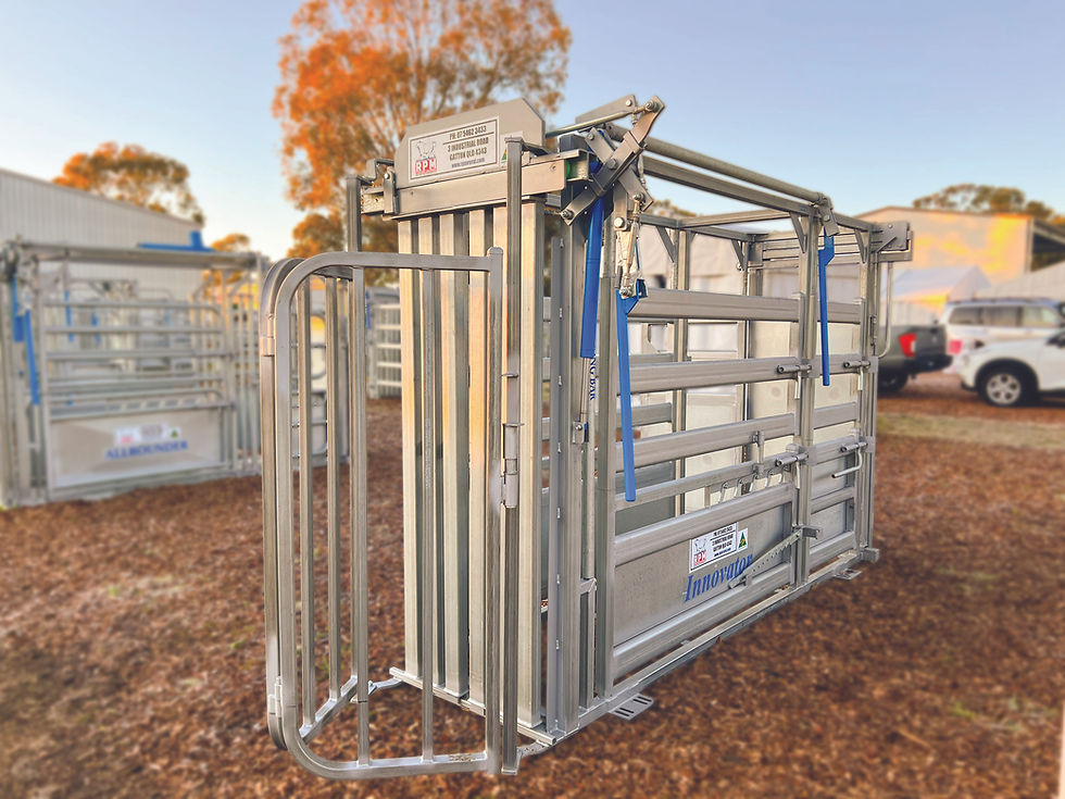 Why More Australian Farmers Are Investing in Cattle Crushes