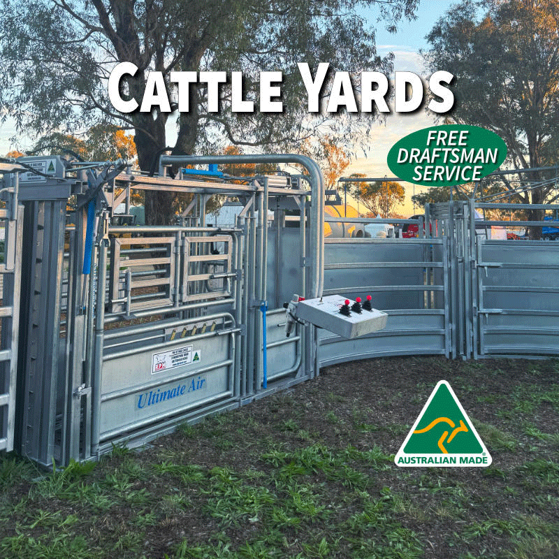 Cattle-Yards---RPM-Livestock-v2.gif