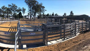 Why Australian-Made Cattle Equipment Is a Smart Choice 
