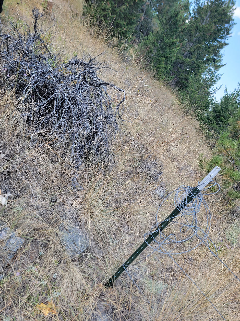 Eye-level view of a surveyor marking property boundaries with equipment