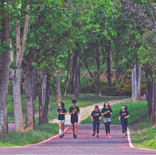 "Park City Chengdu Practice" and "Park City Development Report (2020)" released