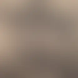 A Legacy in Motion: Year 1950