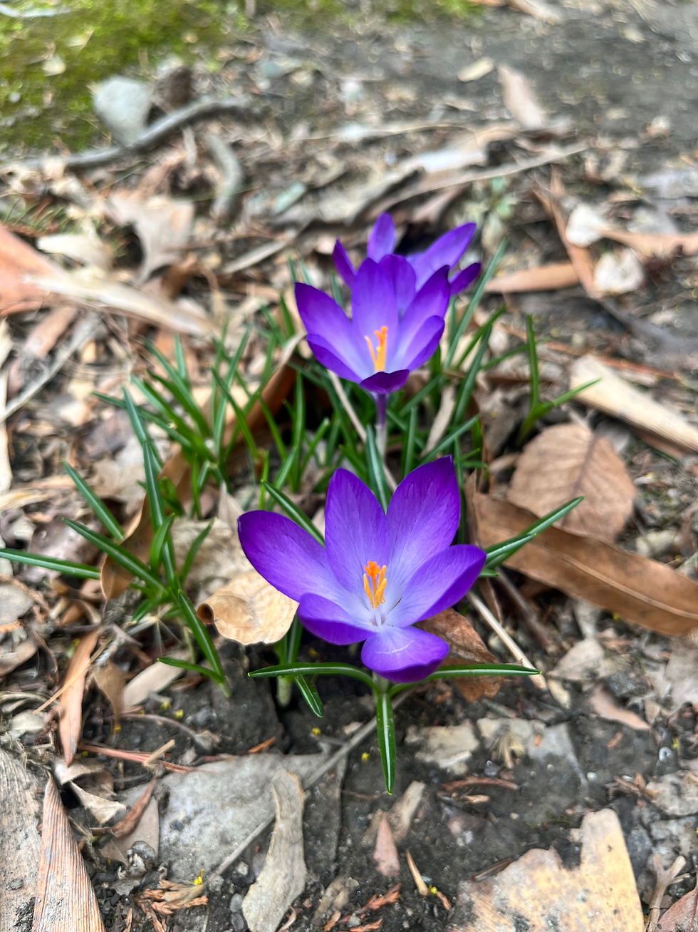 3 Lessons in Autism | Parenting a Young Adult