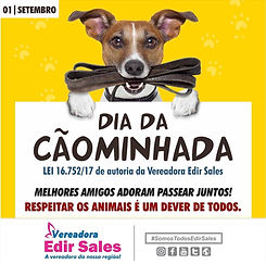 WhatsApp Image 2019-09-04 at 10.35.10.jp