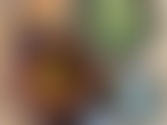 Marrokansk kyllingegryde med Ras el Hanout