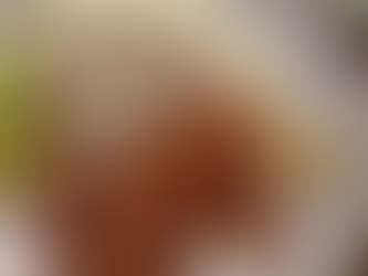 Rødspættefilét bonne femme