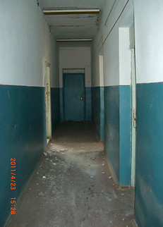 CIMG8306.JPG