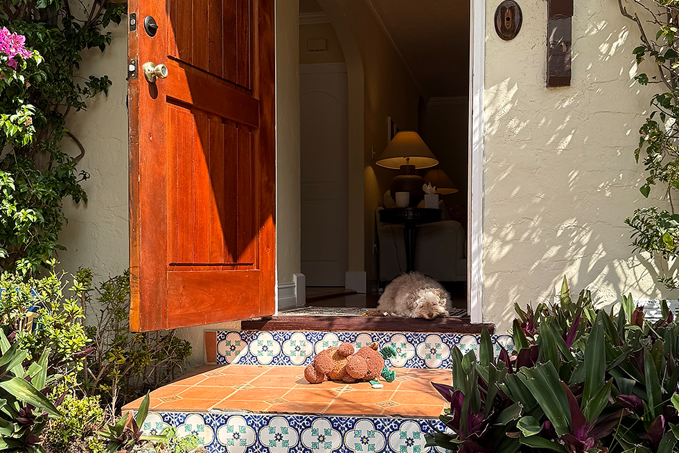 217 front door 1