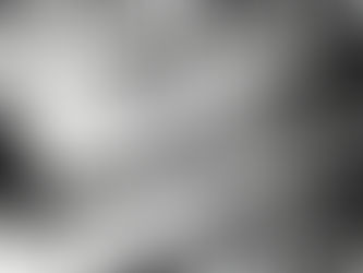 Le rapport de Brodeck. Manu Larcenet Adaptation du roman de Philippe Claudel.