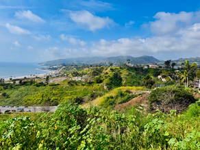 View from the bluffs in Pacific Palisades
