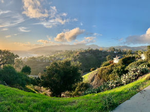 Viewpoint in the Palisades