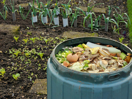 A green backyard compost bin filled with food scraps like vegetable peels, eggshells, and fruit rinds, sitting beside a garden bed with young plants and rows of leeks.