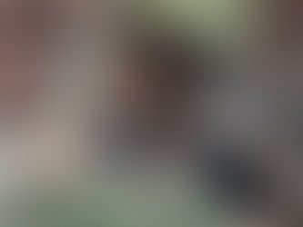 Rethinking Plastic Grass After the Fire