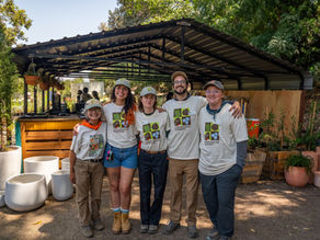 Green Tip: Rebuilding With California Natives