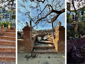 Bricks stairs and a jacaranda tree. Before and after the Palisades Fire.