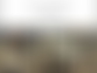 Au revoir là -haut. Pierre Lemaître.