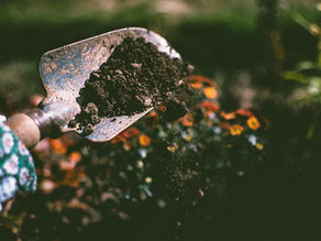 Green Tip: Get Dirty for Your Health