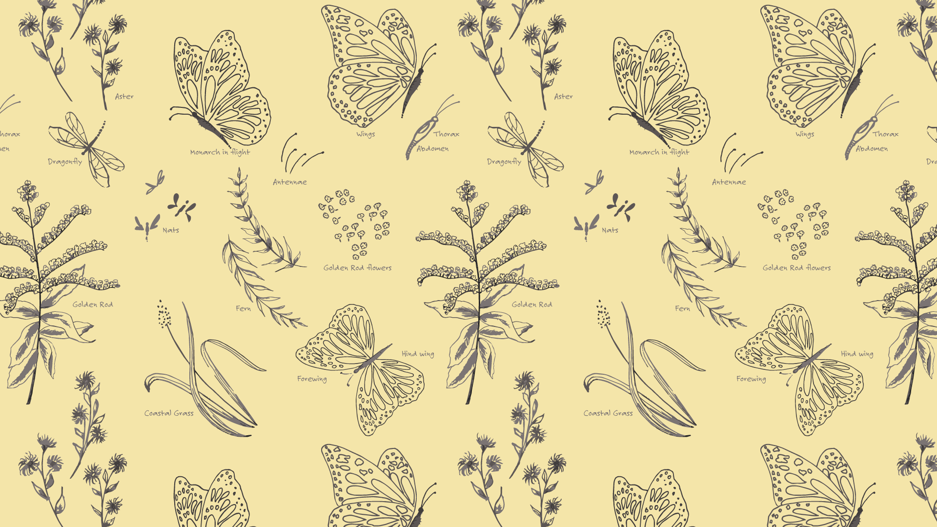 Monarch-Study