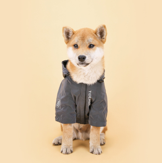 Thumbnail: Pet Clothes Rainproof Jacket Rainproof Hooded For