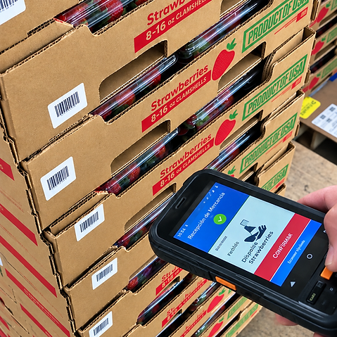 Strawberry Shipment Receiving Scan.png