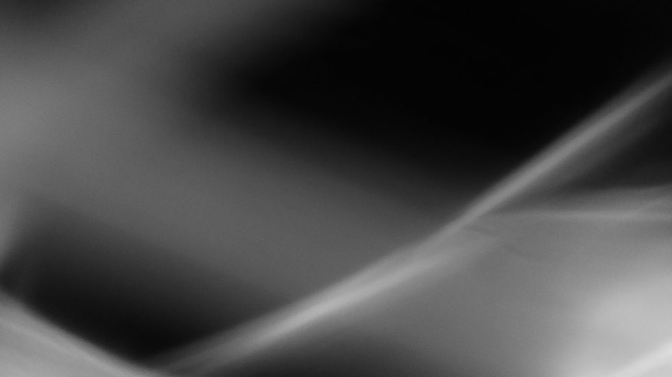 Trailcam motion detection capture 2021