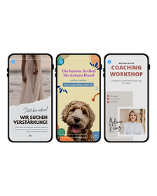 Instagram Story Design im einheitlichen Look für professionellen Social Media Content