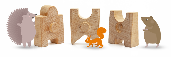 Yuyu-palikoiden-muodot-postaus.png