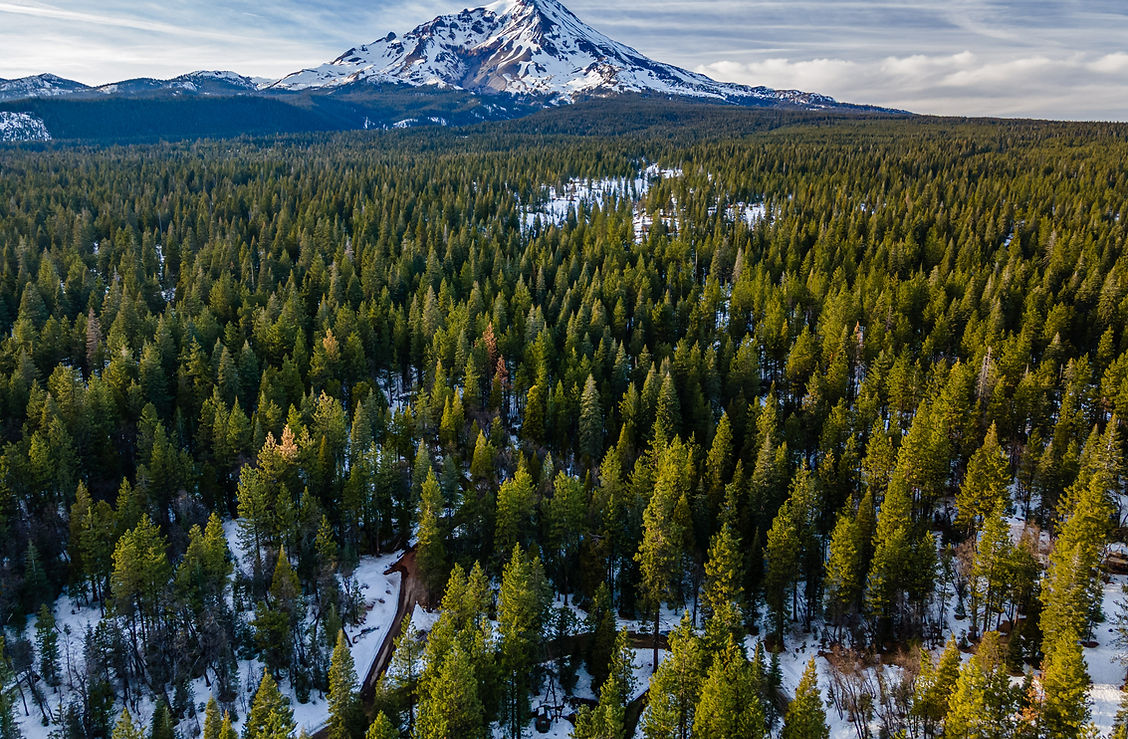 6800 Elk Springs 9.jpg