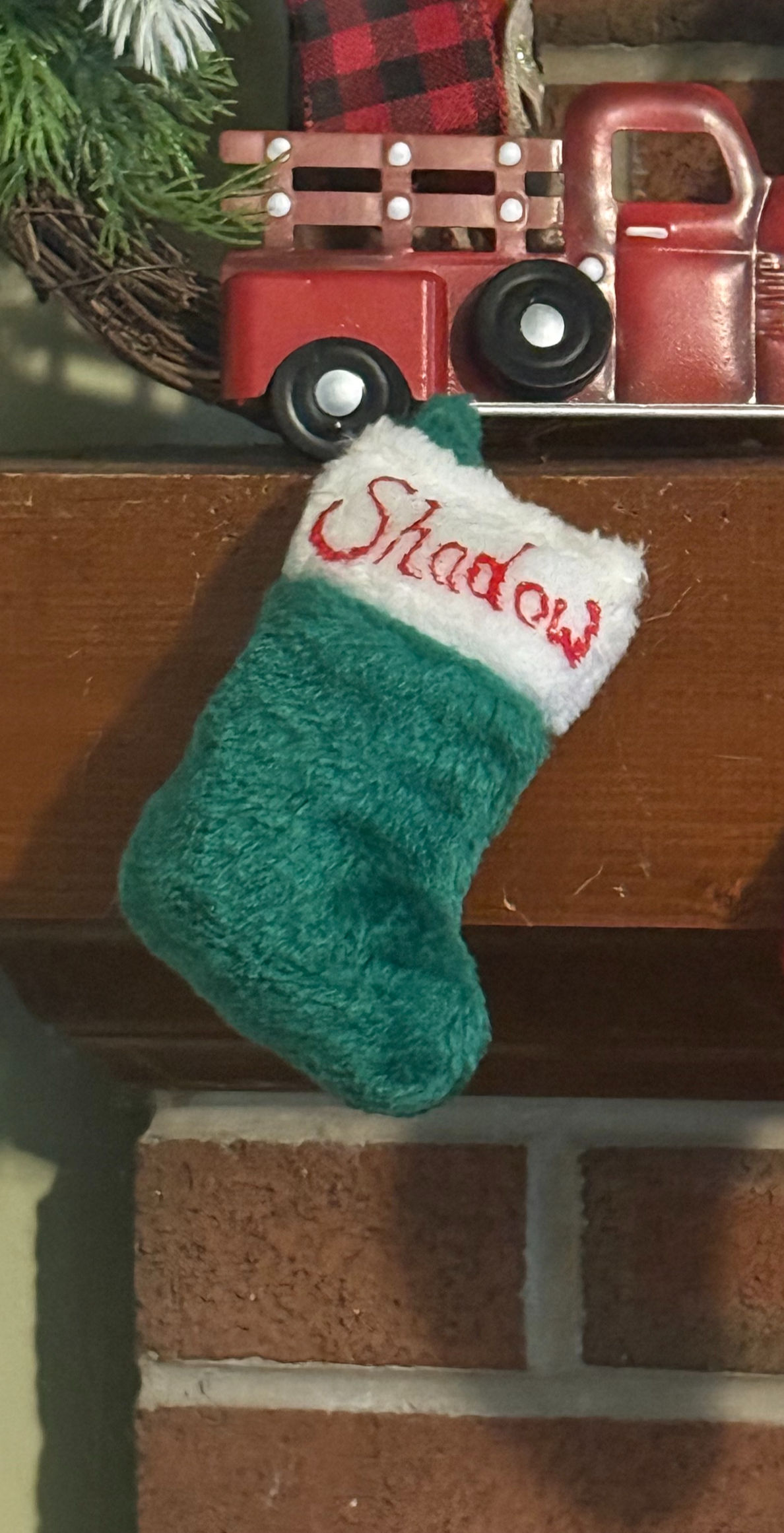 Catnip Stockings - Fuzzy Green with White Top