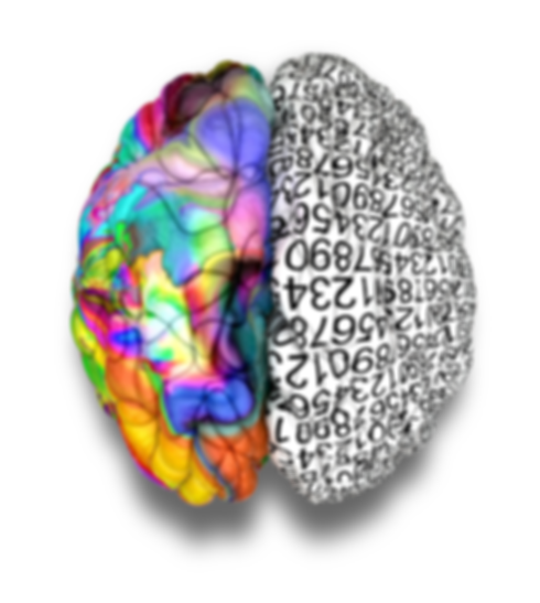 Right Brain 600px